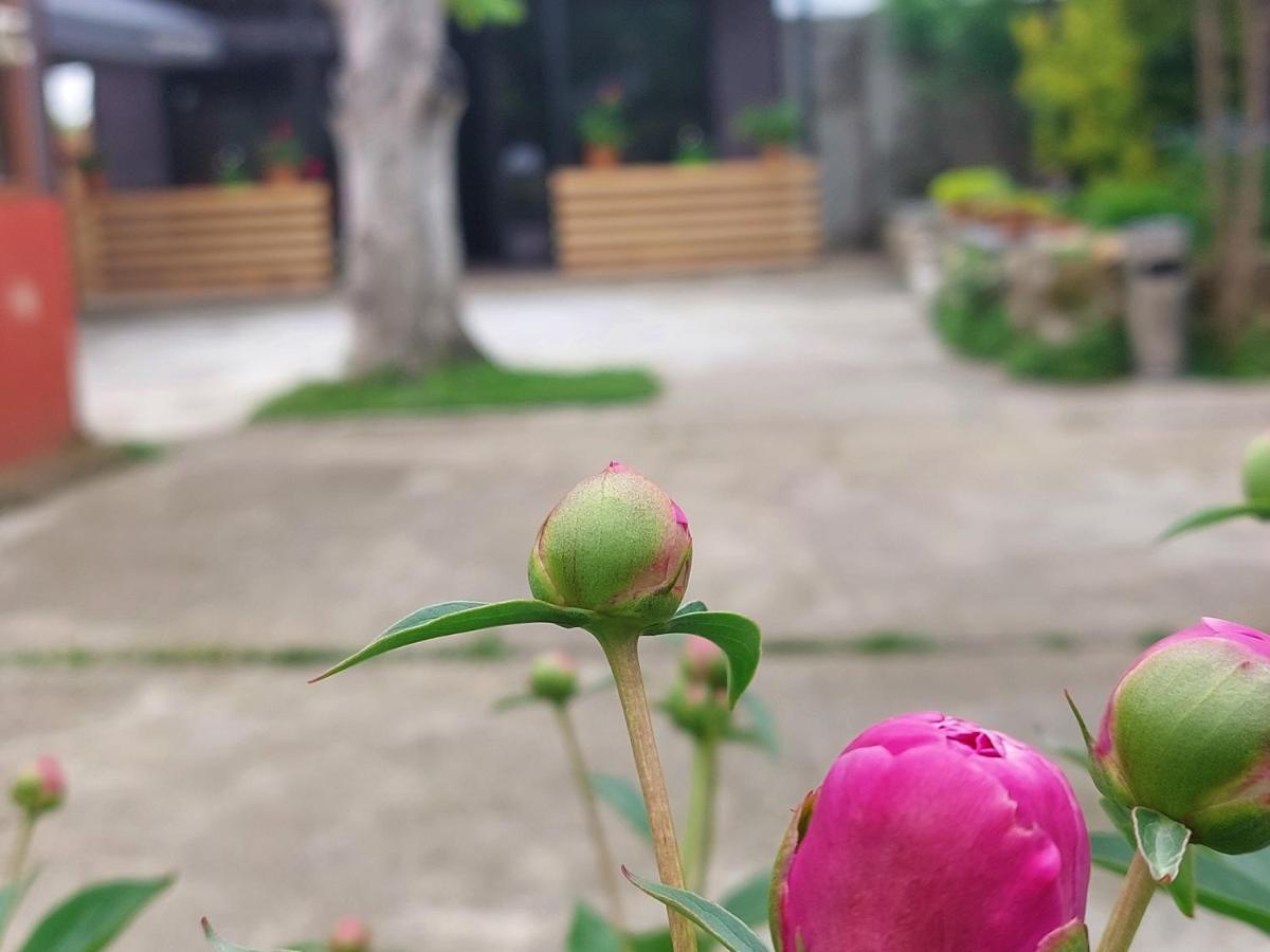 Sweet Village Tskaltubo Εξωτερικό φωτογραφία