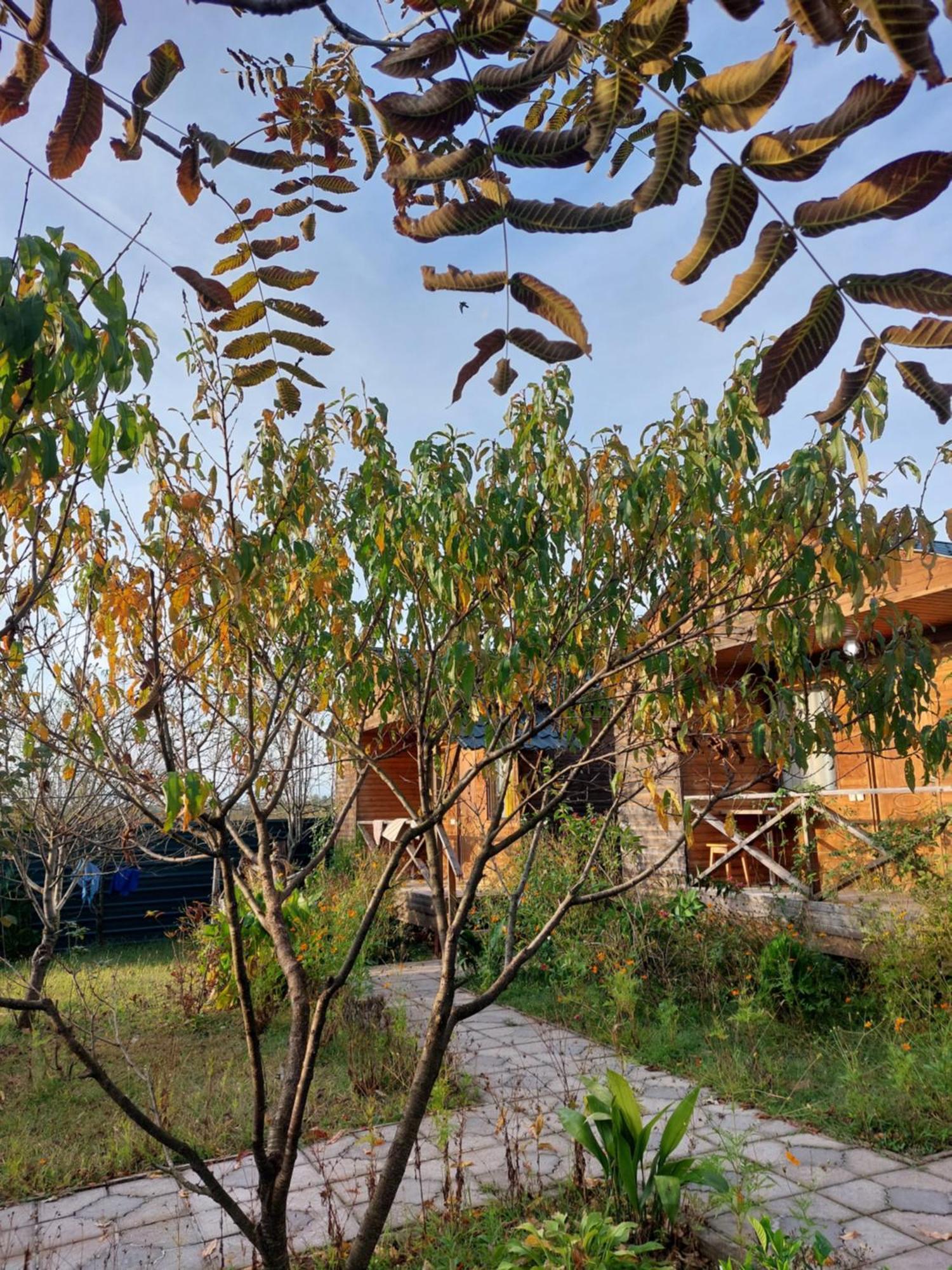 Sweet Village Tskaltubo Εξωτερικό φωτογραφία