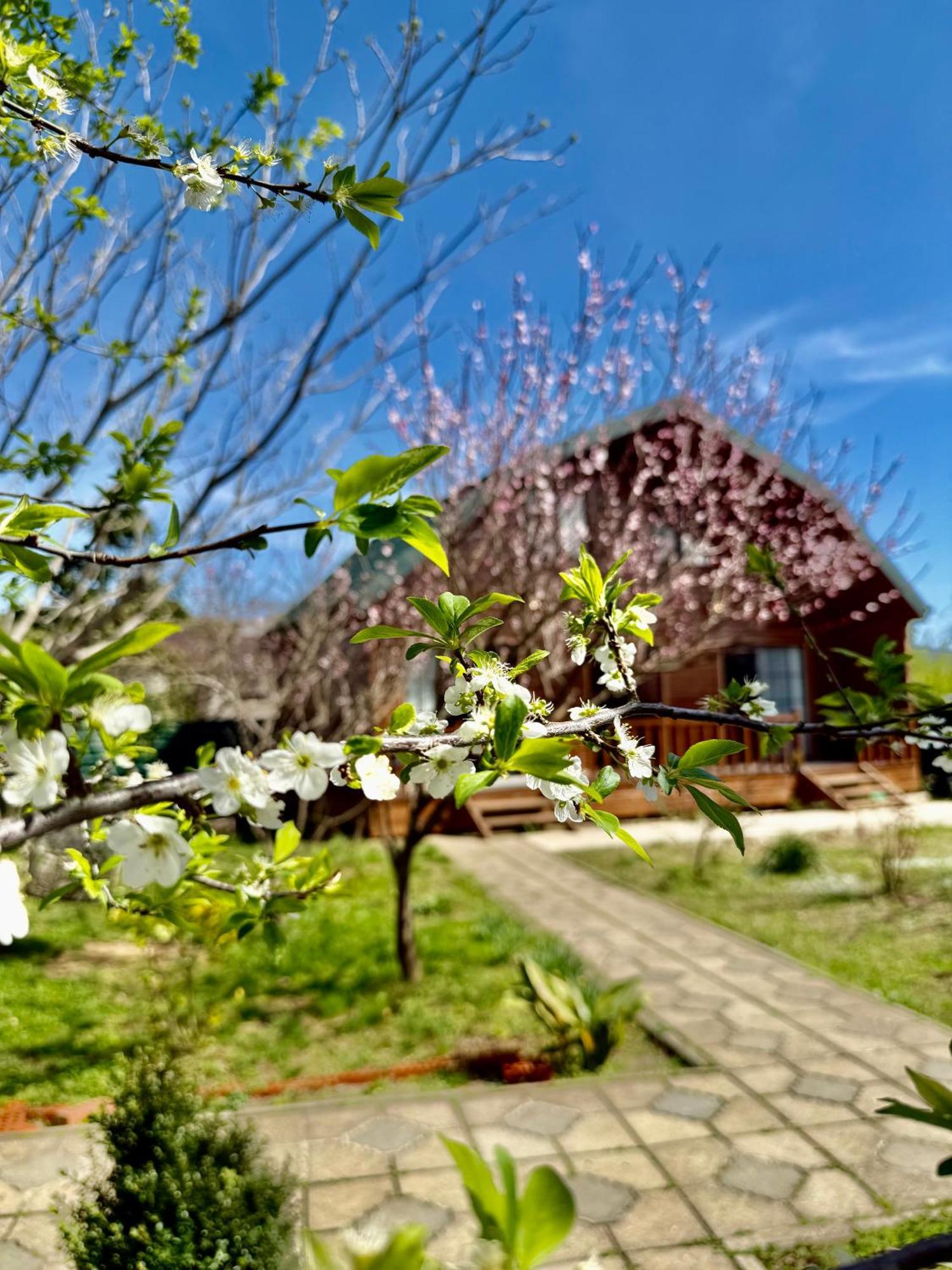 Sweet Village Tskaltubo Εξωτερικό φωτογραφία